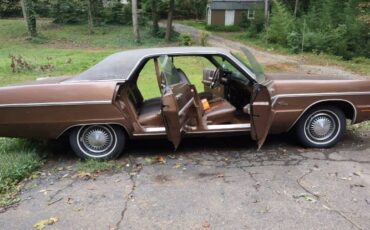 Unknown-Gran-fury-1971-Brown-7