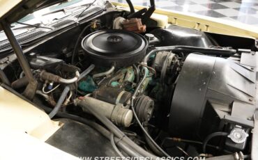 Unknown-Grand-prix-1972-Yellow-Black-39