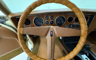 Unknown-Grand-prix-1975-Carmel-Beige-Saddle-15