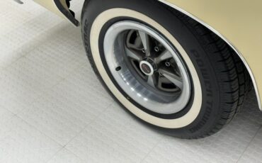 Unknown-Grand-prix-1975-Carmel-Beige-Saddle-19