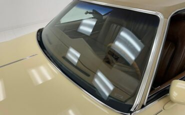 Unknown-Grand-prix-1975-Carmel-Beige-Saddle-21