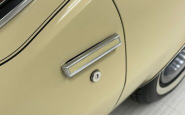 Unknown-Grand-prix-1975-Carmel-Beige-Saddle-23