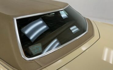 Unknown-Grand-prix-1975-Carmel-Beige-Saddle-24