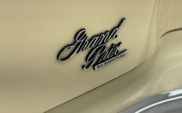 Unknown-Grand-prix-1975-Carmel-Beige-Saddle-28