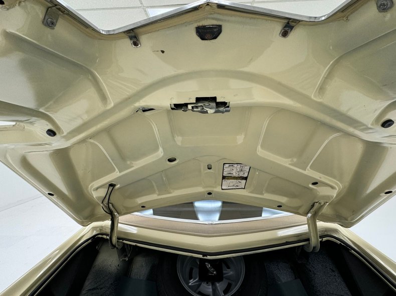 Unknown-Grand-prix-1975-Carmel-Beige-Saddle-38