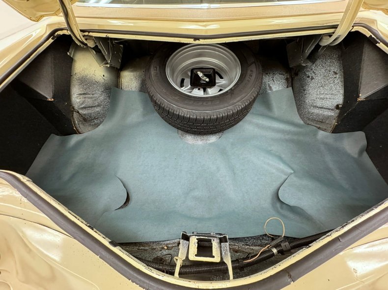 Unknown-Grand-prix-1975-Carmel-Beige-Saddle-40