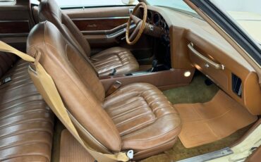 Unknown-Grand-prix-1975-Carmel-Beige-Saddle-7
