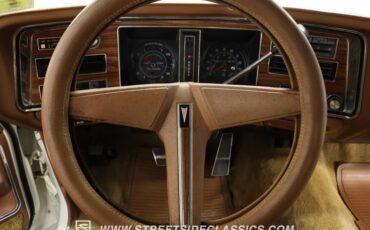 Unknown-Grandville-1975-Cameo-White-Saddle-34
