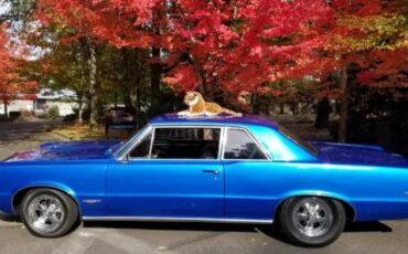 Unknown-Gto-1965-Blue-1