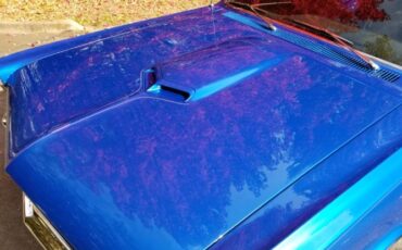 Unknown-Gto-1965-Blue-10