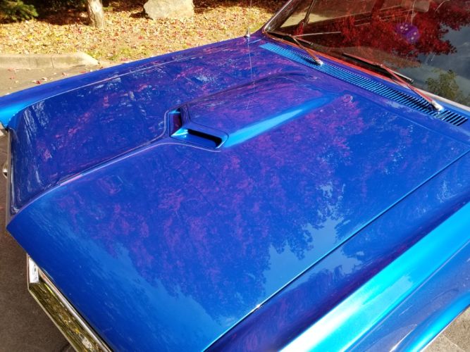 Unknown-Gto-1965-Blue-10