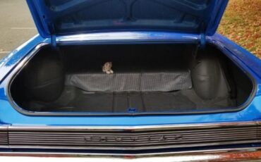 Unknown-Gto-1965-Blue-13