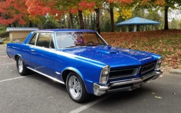 Unknown-Gto-1965-Blue-14
