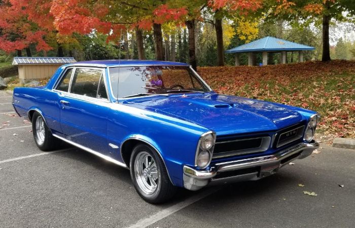 Unknown-Gto-1965-Blue-14