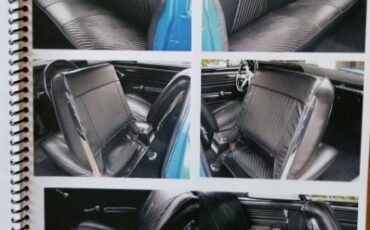 Unknown-Gto-1965-Blue-20