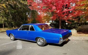 Unknown-Gto-1965-Blue-4