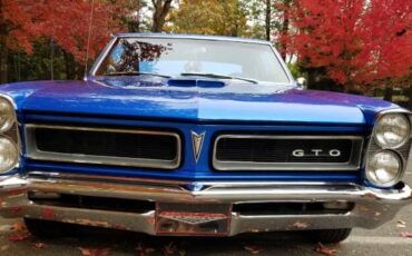 Unknown-Gto-1965-Blue-6
