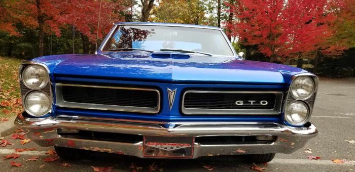 Unknown-Gto-1965-Blue-6