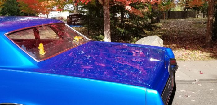 Unknown-Gto-1965-Blue-7