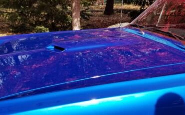 Unknown-Gto-1965-Blue-8