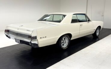 Unknown-Gto-1965-Cameo-White-Dark-Blue-22