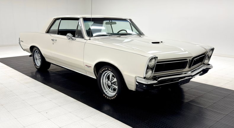 Unknown-Gto-1965-Cameo-White-Dark-Blue-24