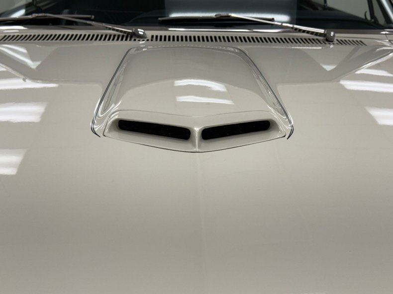 Unknown-Gto-1965-Cameo-White-Dark-Blue-36