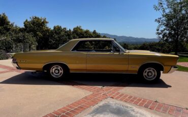 Unknown-Gto-1965-Capri-Gold-Black-10