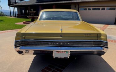 Unknown-Gto-1965-Capri-Gold-Black-14