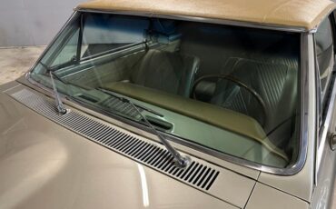 Unknown-Gto-1965-Capri-Gold-Gold-11
