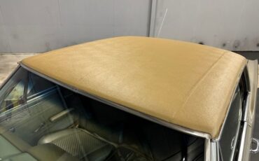 Unknown-Gto-1965-Capri-Gold-Gold-12