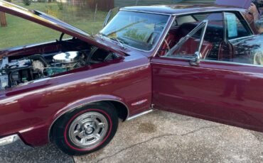 Unknown-Gto-1965-Maroon-Maroon