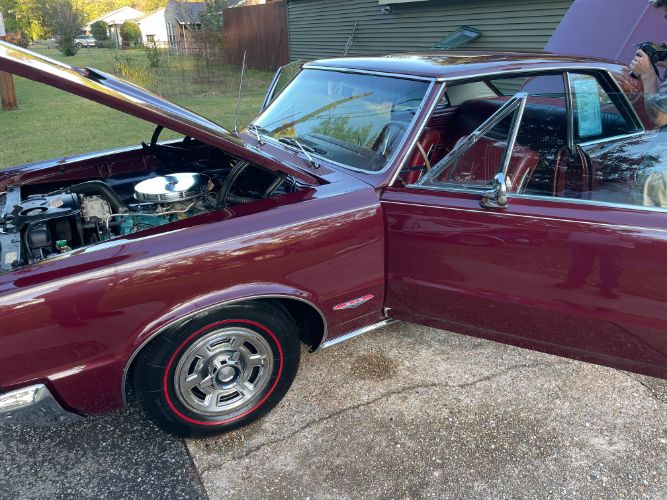 Unknown-Gto-1965-Maroon-Maroon