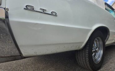 Unknown-Gto-1965-White-10