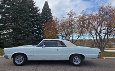 Unknown-Gto-1965-White-19