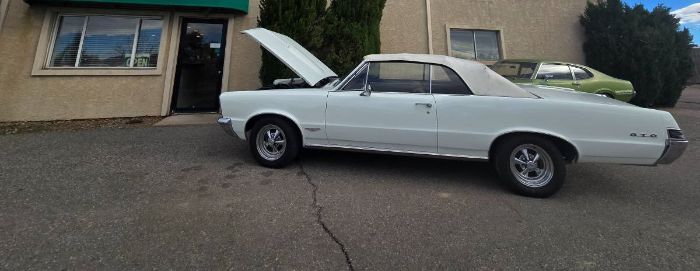Unknown-Gto-1965-White-2