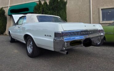 Unknown-Gto-1965-White