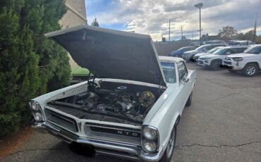 Unknown-Gto-1965-White-4