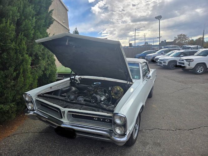 Unknown-Gto-1965-White-4