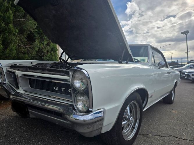 Unknown-Gto-1965-White-5