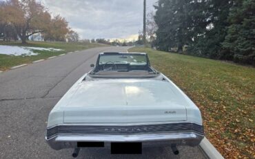 Unknown-Gto-1965-White-6