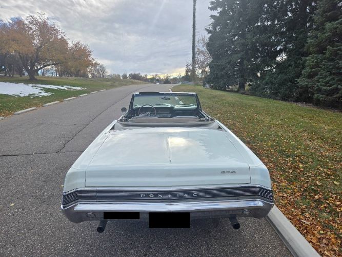 Unknown-Gto-1965-White-6
