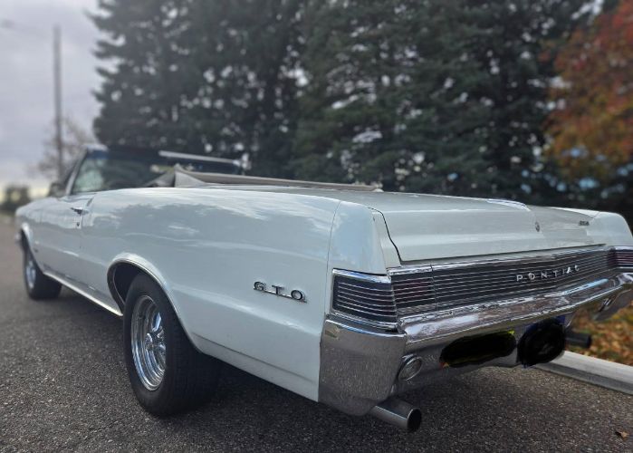 Unknown-Gto-1965-White-7