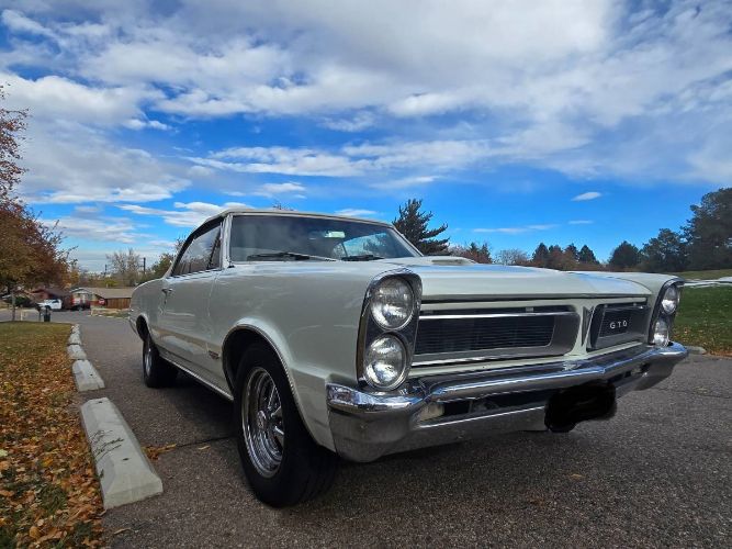 Unknown-Gto-1965-White-8