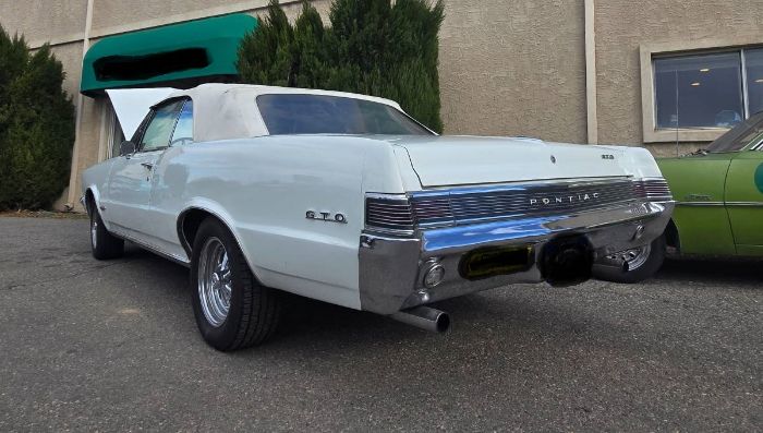 Unknown-Gto-1965-White