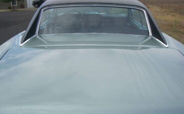 Unknown-Gto-1966-Green-11