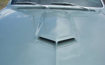 Unknown-Gto-1966-Green-12