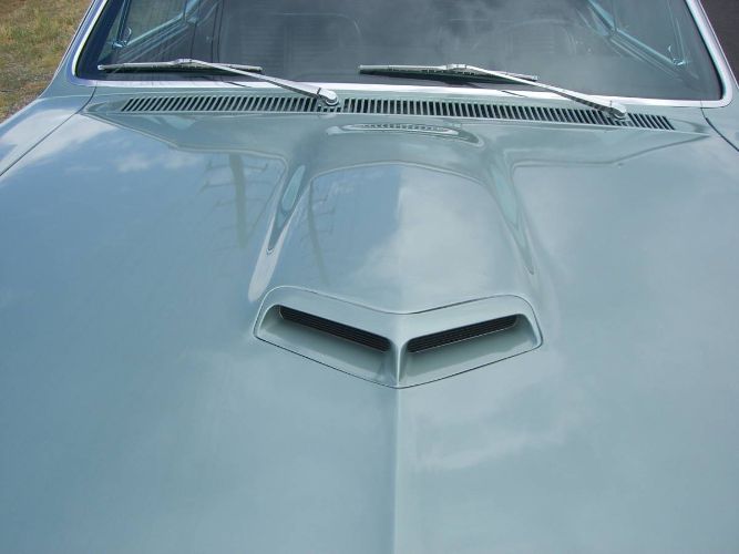 Unknown-Gto-1966-Green-12