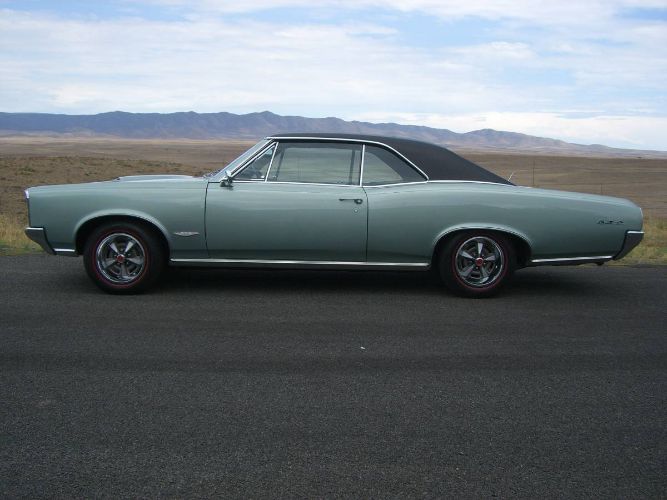Unknown-Gto-1966-Green-16