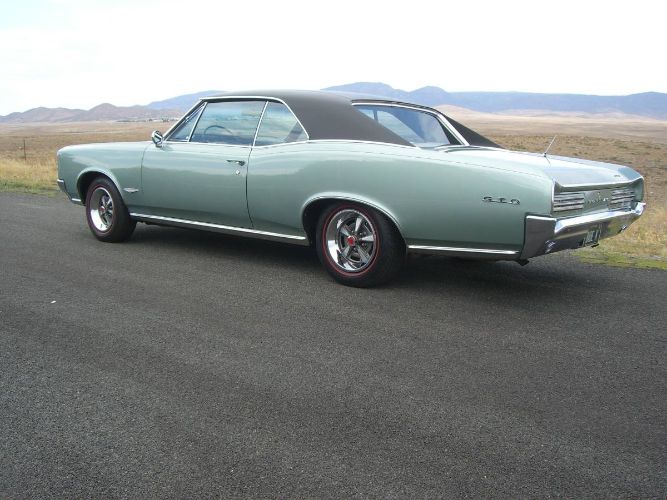 Unknown-Gto-1966-Green-18